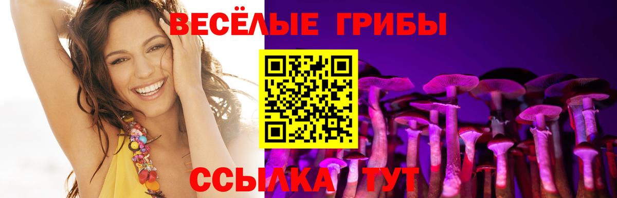 Псилоцибиновые грибы Magic Shrooms  Вход с VPN  Псилоцибиновые грибы мицелий  Пушкино 