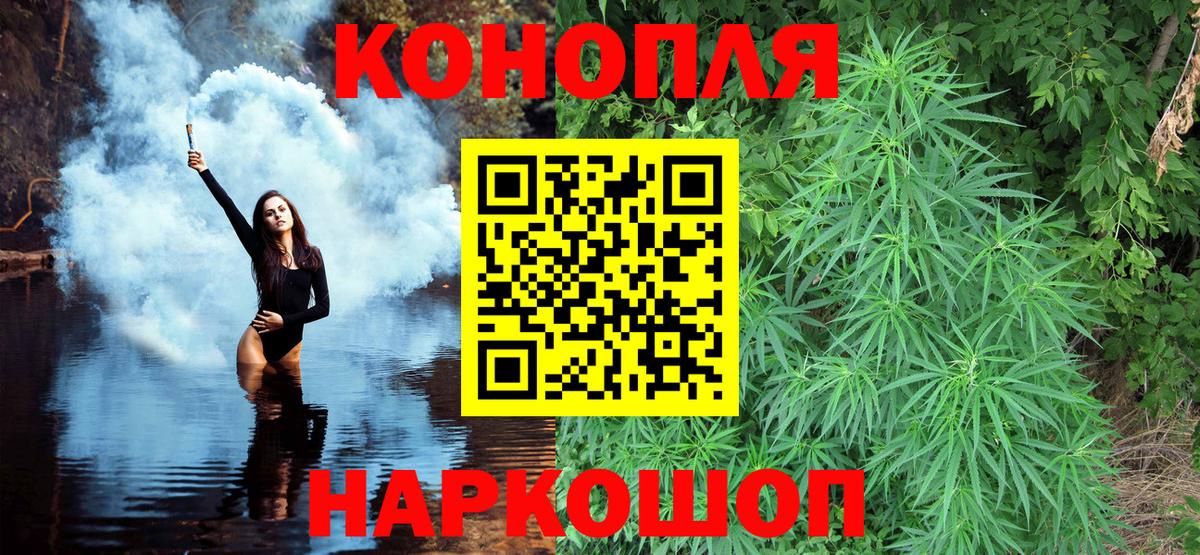 Каннабис сатива Пушкино